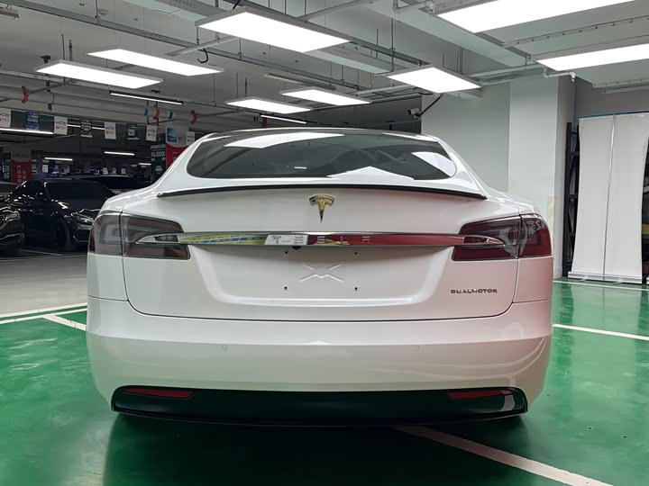 Tesla Model S 2019 2019款 Performance 高性能版