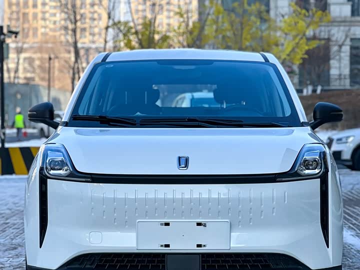 Bestune NAT 2023 2023款 PRO 舒享出行版 419km