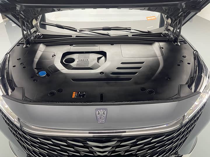 Roewe RX5 Hybrid 2023 2023款 eRX5 超混尊荣版