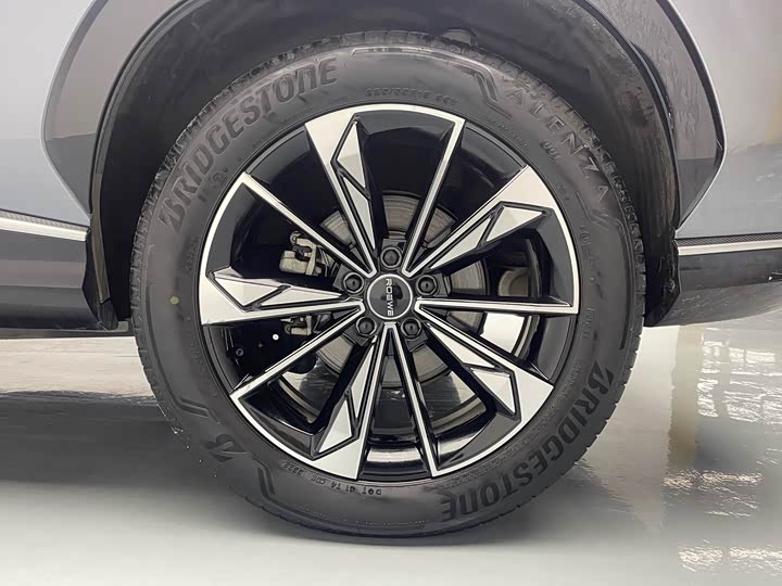 Roewe RX5 Hybrid 2023 2023款 eRX5 超混尊荣版