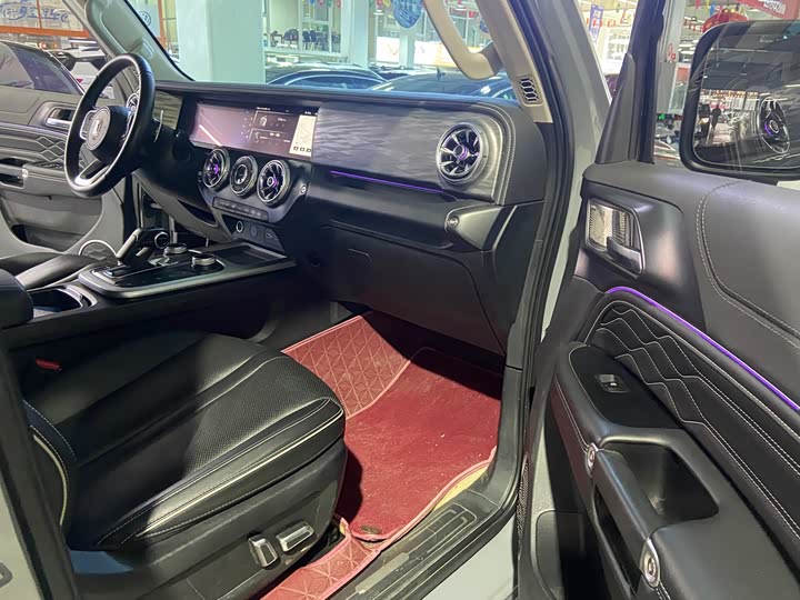 Tank 300 2024 2024款 2.0T 征服者