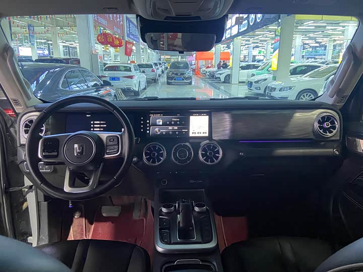 Tank 300 2024 2024款 2.0T 征服者