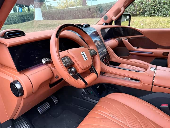 BYD Yangwang U8 2023 2023款 豪华版