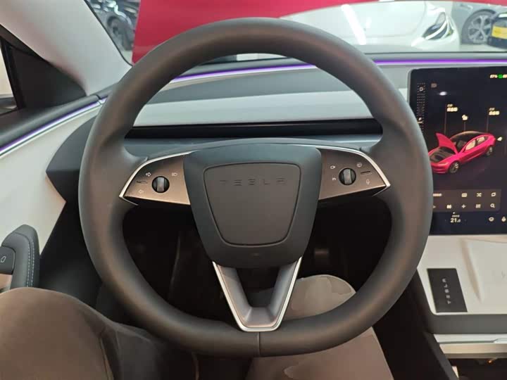 Tesla Model 3 2023 2023款 后轮驱动版