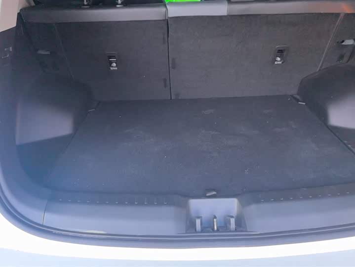 GAC Aion Y 2024 2024款 Plus 510 智驾版