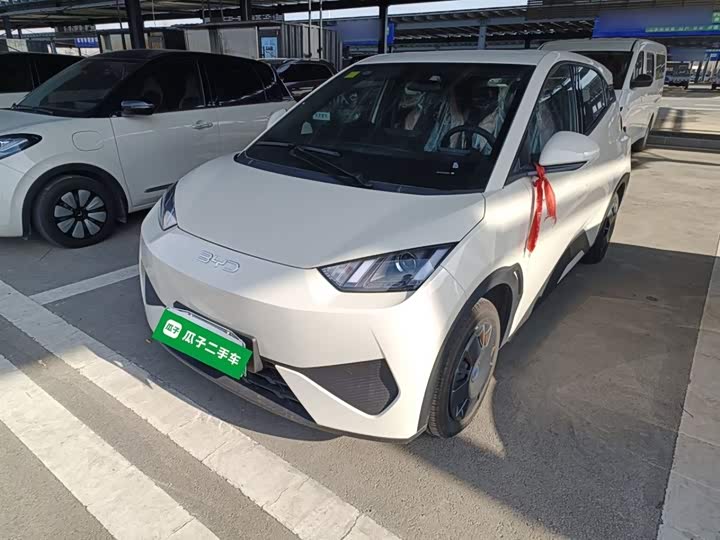 BYD Seagull 2025 2025款 智驾版 305km 活力版