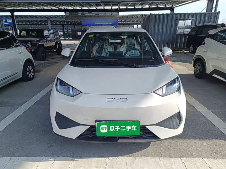 BYD Seagull 2025 2025款 智驾版 305km 活力版