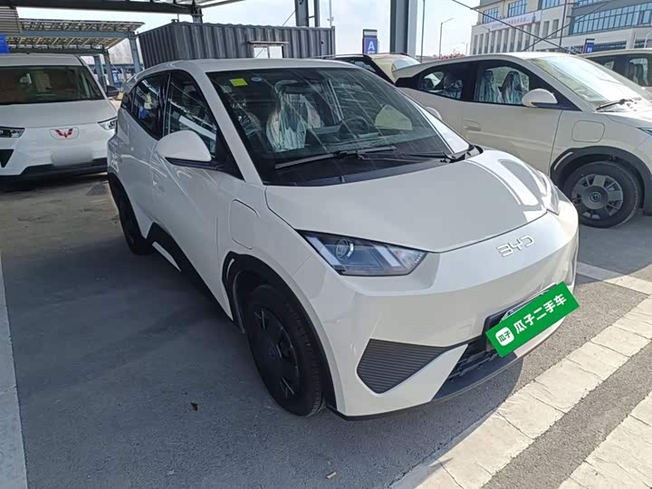 BYD Seagull 2025 2025款 智驾版 305km 活力版