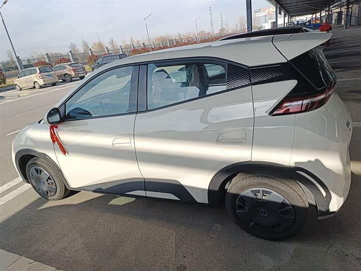 BYD Seagull 2025 2025款 智驾版 305km 活力版