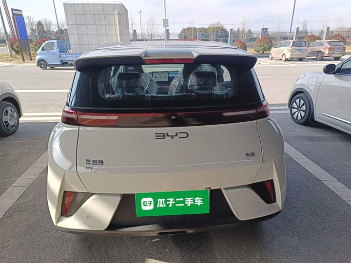 BYD Seagull 2025 2025款 智驾版 305km 活力版