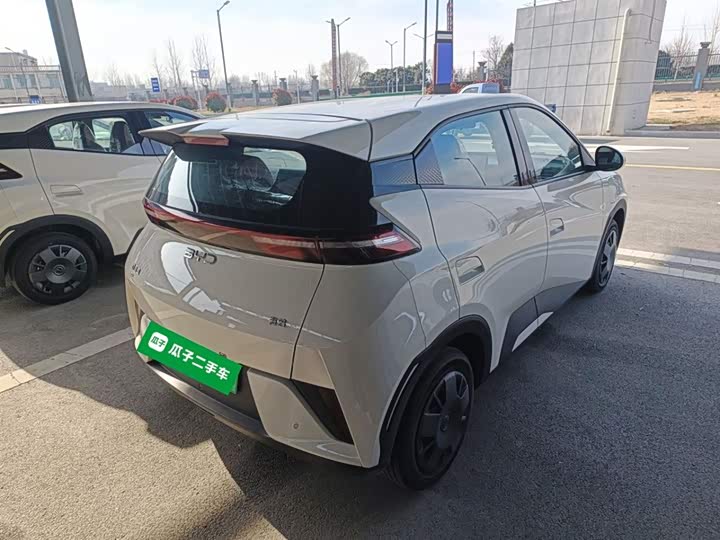 BYD Seagull 2025 2025款 智驾版 305km 活力版