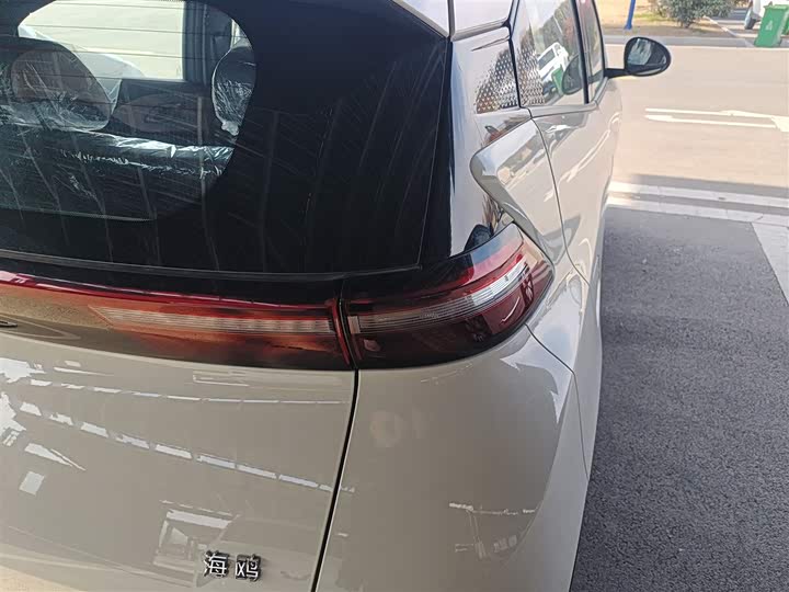 BYD Seagull 2025 2025款 智驾版 305km 活力版