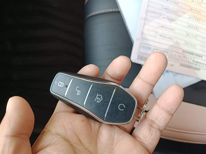 BYD Seagull 2025 2025款 智驾版 305km 活力版