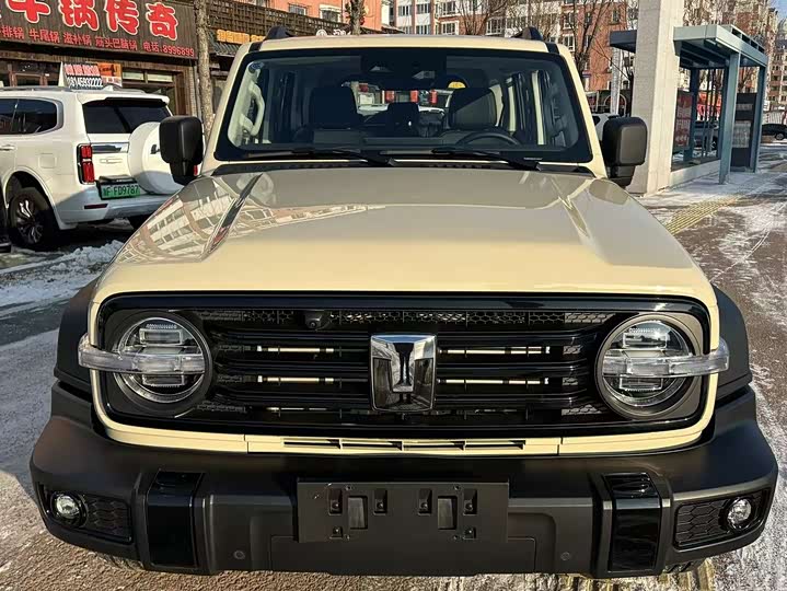 Tank 300 2025 2025款 2.4T 柴油版