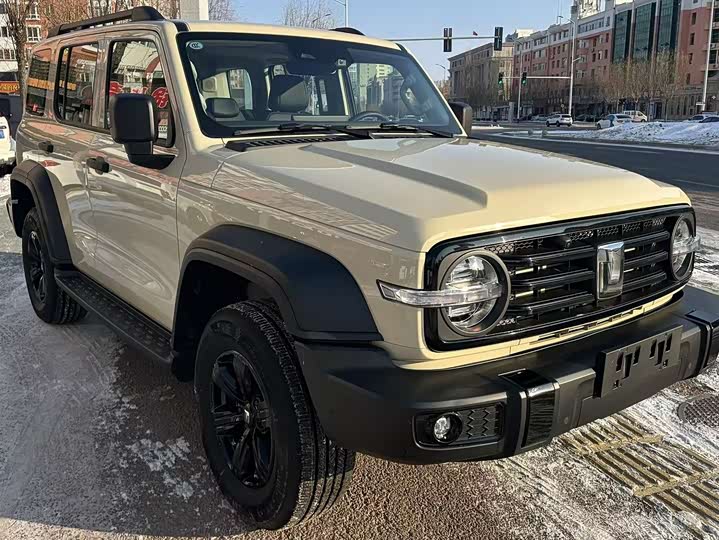 Tank 300 2025 2025款 2.4T 柴油版