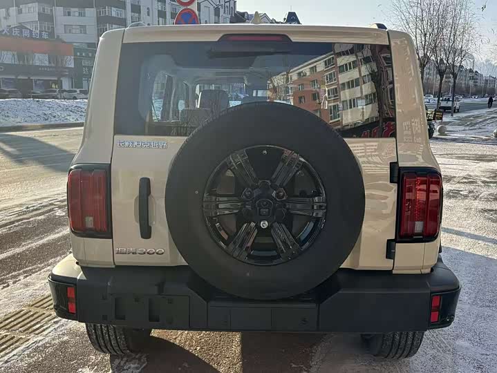 Tank 300 2025 2025款 2.4T 柴油版