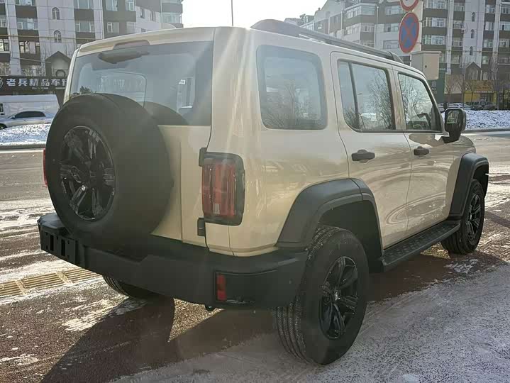 Tank 300 2025 2025款 2.4T 柴油版