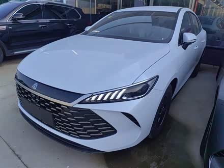 BYD Qin Plus 2025 2025款 DM-i 智驾版 55KM领先型