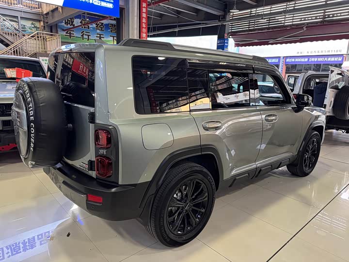 Haval Raptor Hybrid 2024 2024款 Hi4 102 Pro