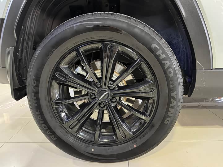 Haval Raptor Hybrid 2024 2024款 Hi4 102 Pro