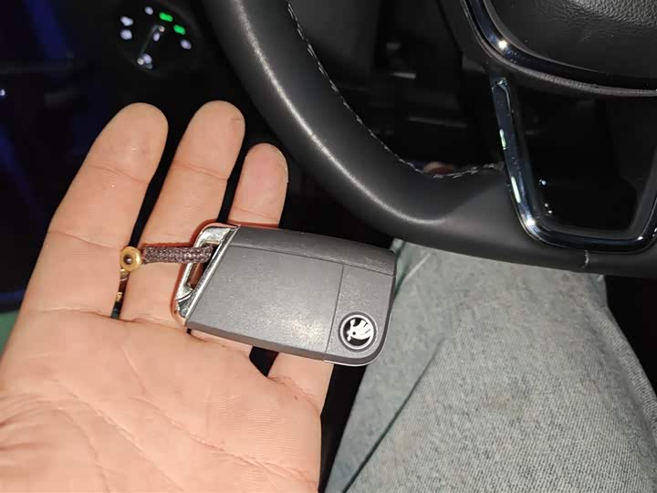 Skoda Kodiaq 2022 2022款 TSI330 7座两驱奢享版