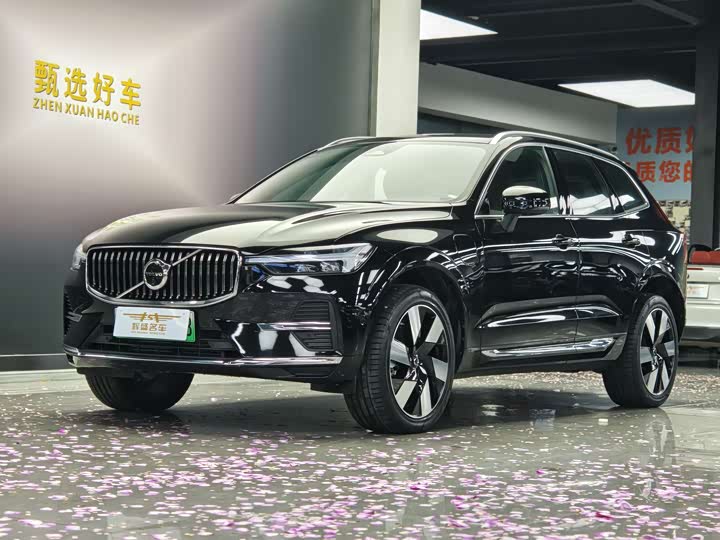 Volvo XC60 Hybrid 2025 2025款 插电式混动 长续航四驱智雅豪华版