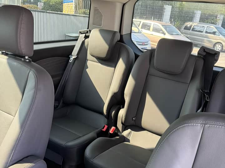 Ford Tourneo 2020 2020款 2.0T 自动旗舰版 国VI