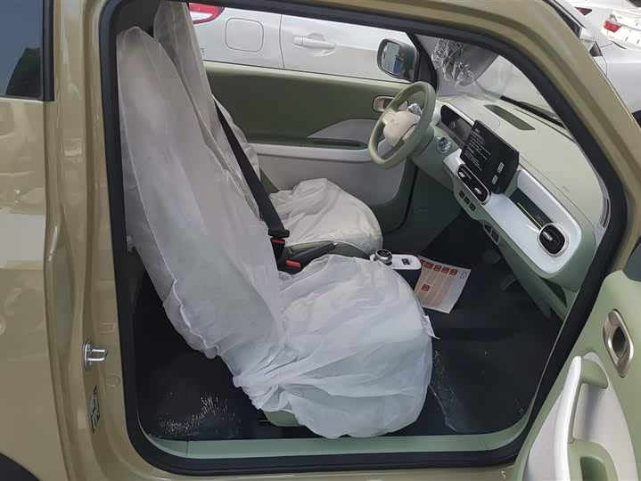 Geely Galaxy Panda Mini 2025 2025款 熊猫mini 210km 元气熊