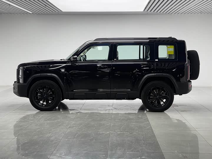 Haval Raptor Hybrid 2026 2026款 Hi4 150 Pro