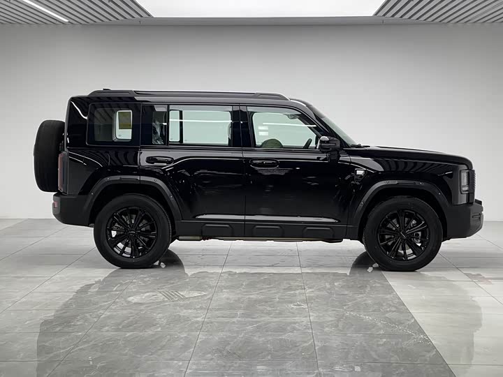 Haval Raptor Hybrid 2026 2026款 Hi4 150 Pro