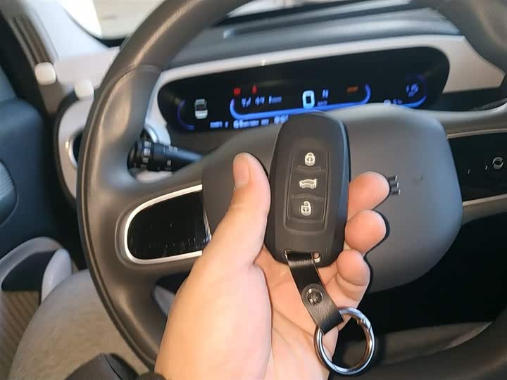 Geely Galaxy Panda Mini 2025 2025款 熊猫mini 210km 元气熊