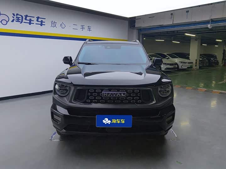 Haval H-Dog 2023 2023款 2.0T 两驱潮野版Plus