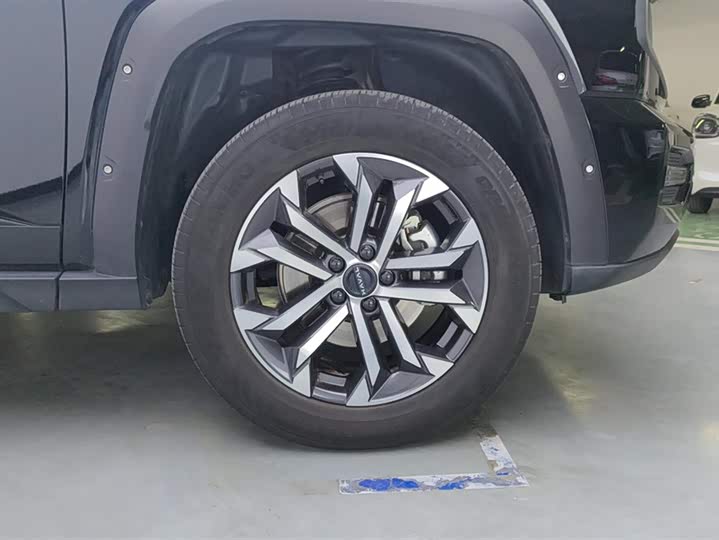 Haval H-Dog 2023 2023款 2.0T 两驱潮野版Plus