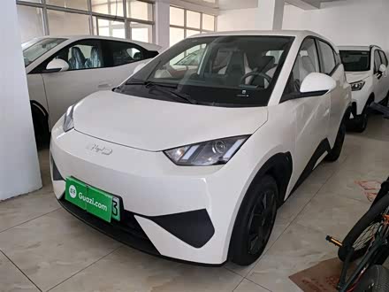 BYD Seagull 2025 2025款 305km 活力版