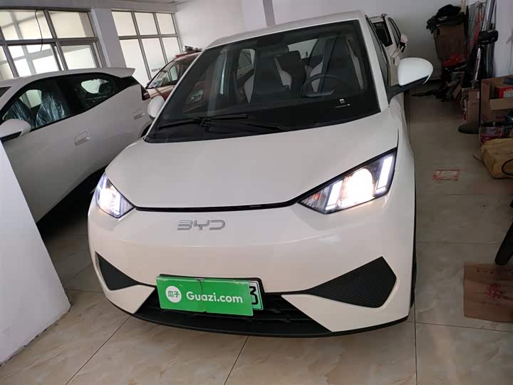 BYD Seagull 2025 2025款 305km 活力版