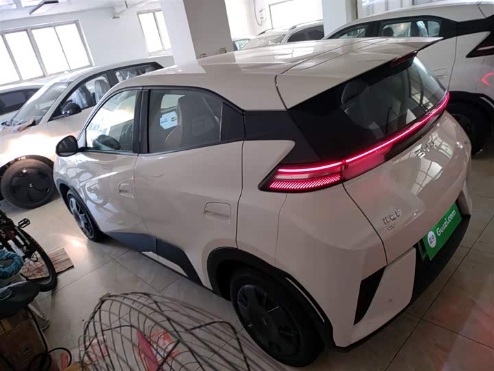 BYD Seagull 2025 2025款 305km 活力版