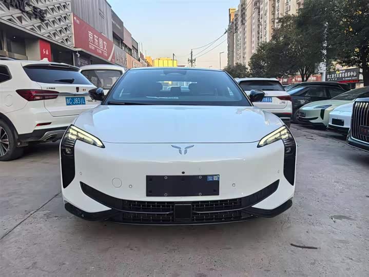 Hongqi EH7 2024 2024款 690 Pro