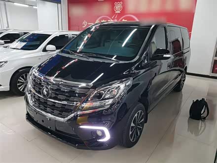 Dongfeng Forthing M7 2022 2022款 领爵款 2.0T 自动行政版