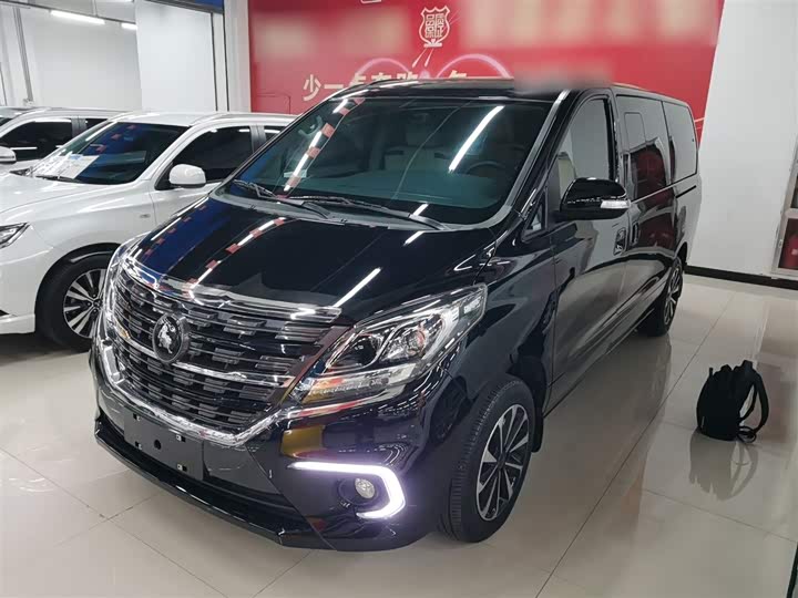 Dongfeng Forthing M7 2022 2022款 领爵款 2.0T 自动行政版