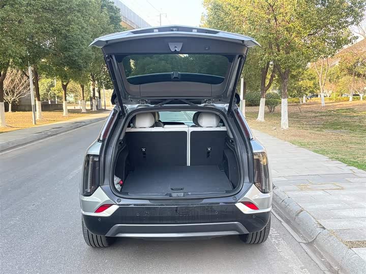 Cadillac Optiq 2024 2024款 标准续航版