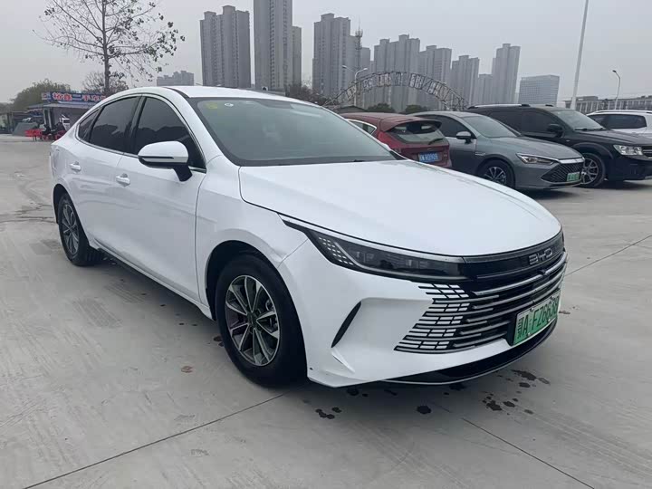 BYD Destroyer 05 2024 2024款 荣耀版 DM-i 55KM 豪华型