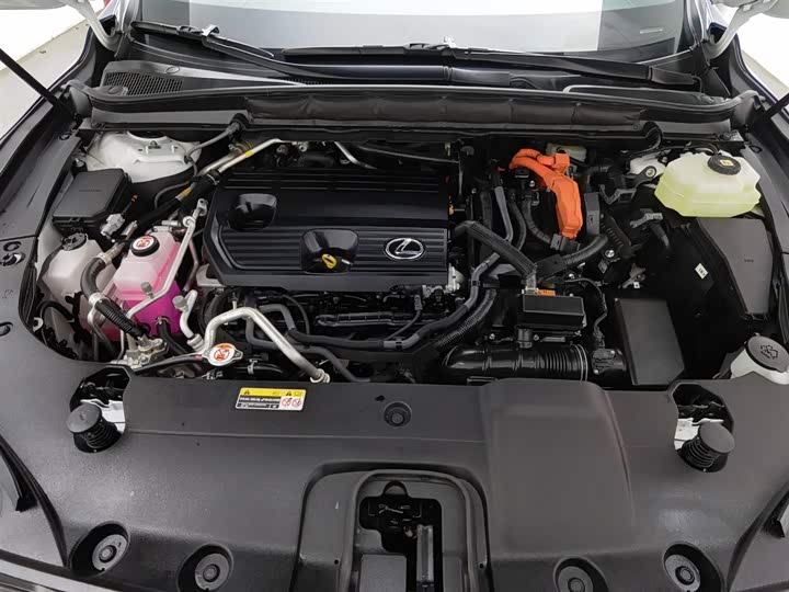 Lexus RX Hybrid 2023 2023款 450h+ 四驱畅享版