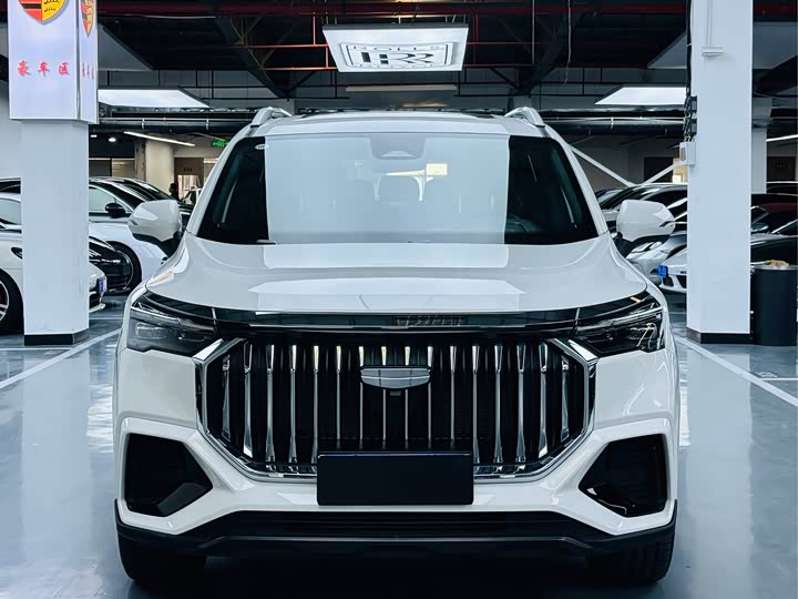 Geely Okavango L 2024 2024款 2.0T DCT旗舰型