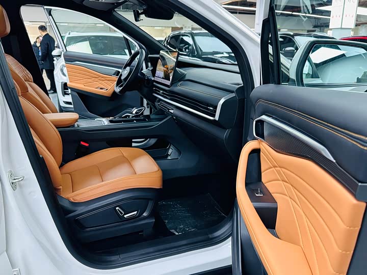 Geely Okavango L 2024 2024款 2.0T DCT旗舰型