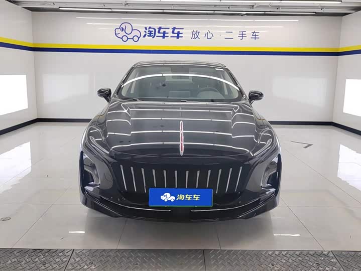 Hongqi E-QM5 2024 2024款 560km PLUS