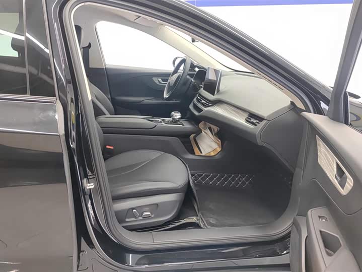 Hongqi E-QM5 2024 2024款 560km PLUS