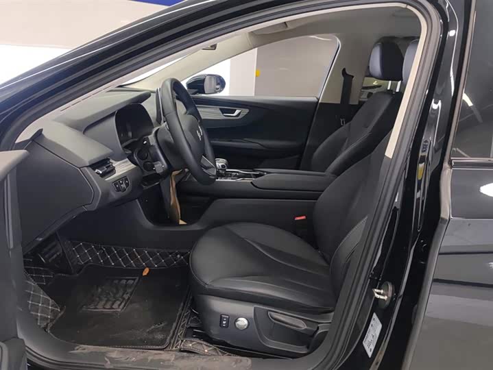 Hongqi E-QM5 2024 2024款 560km PLUS