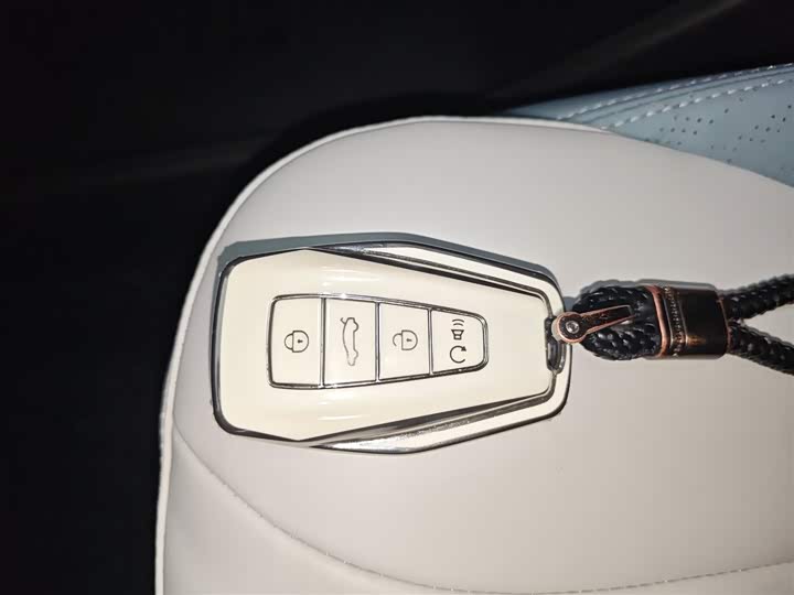 Geely Geometry E Firefly 2024 2024款 301km 星光