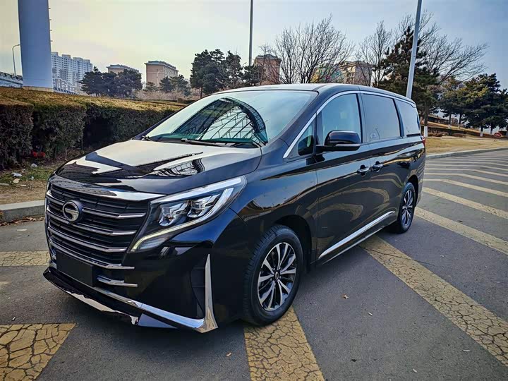 GAC Trumpchi M8 2024 2024款 领秀系列 390T 尊享版