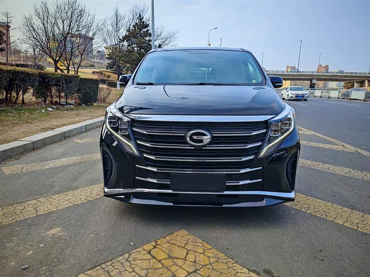 GAC Trumpchi M8 2024 2024款 领秀系列 390T 尊享版